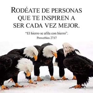 Meet your Posher, Lucy